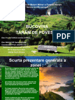 Proiect Bucovina, Taram de Poveste