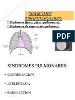 Sindromes Pleuropulmonares 2013