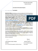 PDF Documento