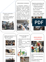 Triptico Sobre La Inseguridad Ciudadana en El Peru Compress