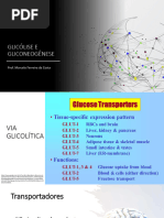 Glicoólise e Gliconeogenese e Glicogenio