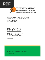 Physics Project PDF