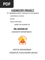 Chemistry Project Paper Chromatography