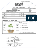 Evaluacion Las Plantas