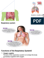 Respiratory System Semi Final