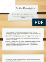 Soil Profile Description