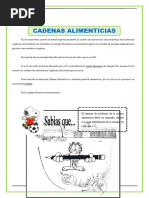 Las Cadenas Alimenticias Refuerzo