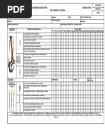 Sst-Fo-80 Lista de Chequeo Arnes y Eslingas