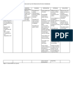 Nursing Care Plan For Premature Rupture of Membranes