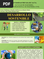 Exposicion - Desarrollo-Sostenible