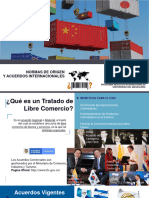 Criterios y Certificado de Origen - Exportacion de Servicios