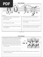 Active Transport Worksheet