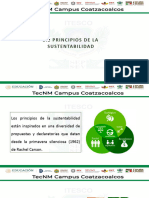 1.2 Principios de La Sustentabilidad Con Logos