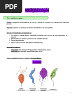 Microbiologia