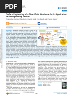 Ray Et Al 2023 Surface Engineering of A Bioartificial Membrane For Its Application in Bioengineering Devices