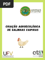 Criacao Agroecologica de Galinhas Caipiras 398