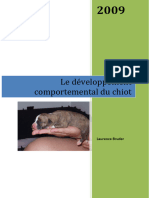 Developpement Comportemental Chiot