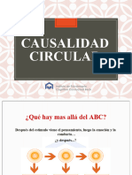 P Causalidad Circular 1