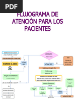 Flujograma de Atención para Los Pacientes