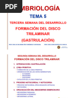 Tema 5 Disco Trilaminar-Gastrulación