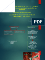 Clase 4 de Microbiología