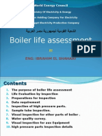 Boiler Life Asessment