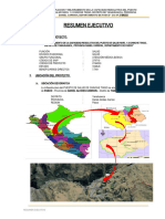 Resumen Ejecutivo Chinche Tingo