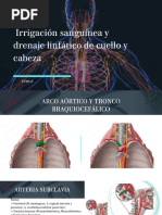 Tema 8 - Irrigación y Drenaje Linfático de Cabeza y Cuello - DIAP