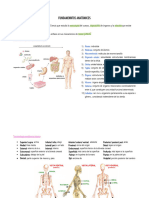 Introducción A La Anatomía