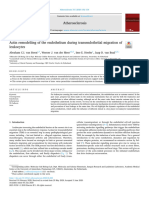 Actin Remodelling of The Endothelium During Transendothelial 2020 Atheroscle