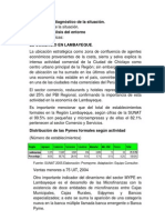 Análisis y Diagnóstico de La Situación Trabajo Mirko