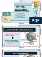 Aparato Digestivo Gestion 2023.-2