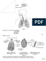 Respiration & Gas Exchange Theory QP