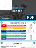 Anatomy of Movement