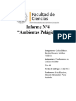 Informe N°4 Ambientes Pelágicos - Mazo - Rioseco - Valdivia - IH