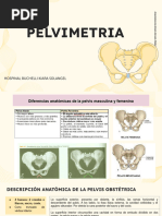 Pelvimetria Diapos