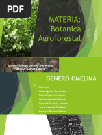 Genero Gmelina