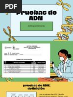 Pruebas de ADN - 3G