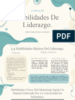 3.4 Habiliaddes Del Mentoring