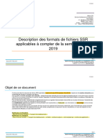 Formats ssr2019 01