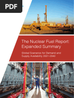 Nuclear Fuel Report 2021 Expanded Summary