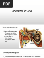 Ear Anatomy