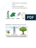 Cell To Organism Worksheet