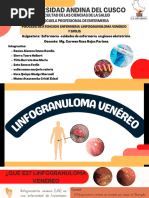 Linfogranuloma Humano - Sifilis (Caso Clinico) - Exposicion