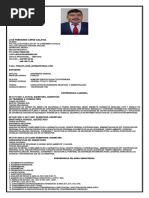 Curriculum Vitae Luis Fernando Lopez Galaviz