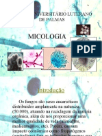 Slides Acerca de Micologia