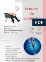 Proteza de Genunchi