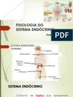 Aula Sistema Endócrino