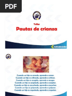 Taller de Pautas de Crianza