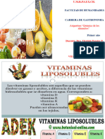 Gastro VITAMINAS LIPOSOLUBLES PP